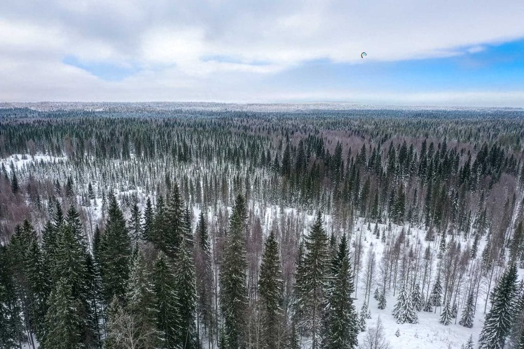 Pala Kainuuta - Metsänsuojelukohteemme
